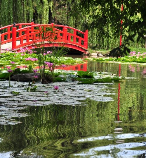 Jardín Japonés — foto 2